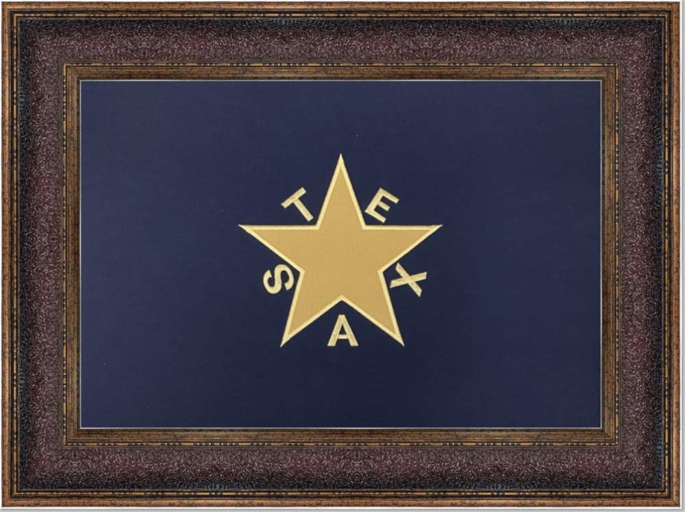 Framed De Zavala Flag - Vintage Texas Historical Wall Decor - Perfect for Home, Office, or Classroom Display
