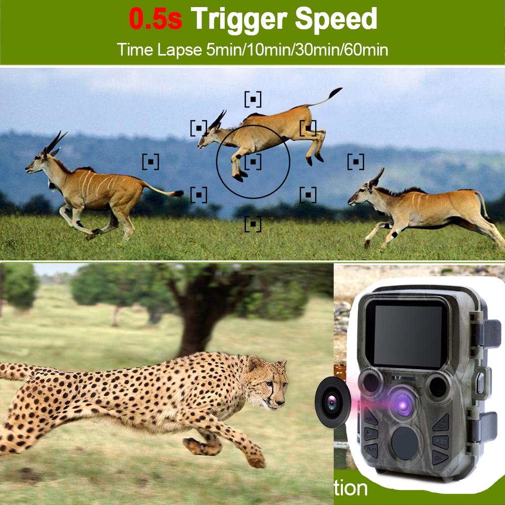 12MP HD 1080p Mini Hunting Camera with Night Vision - Trail Game Camera for Wildlife Monitoring, Hunting, and Outdoor Security Surveillance - Perfect for Backyard, Forest, and Trail Tracking