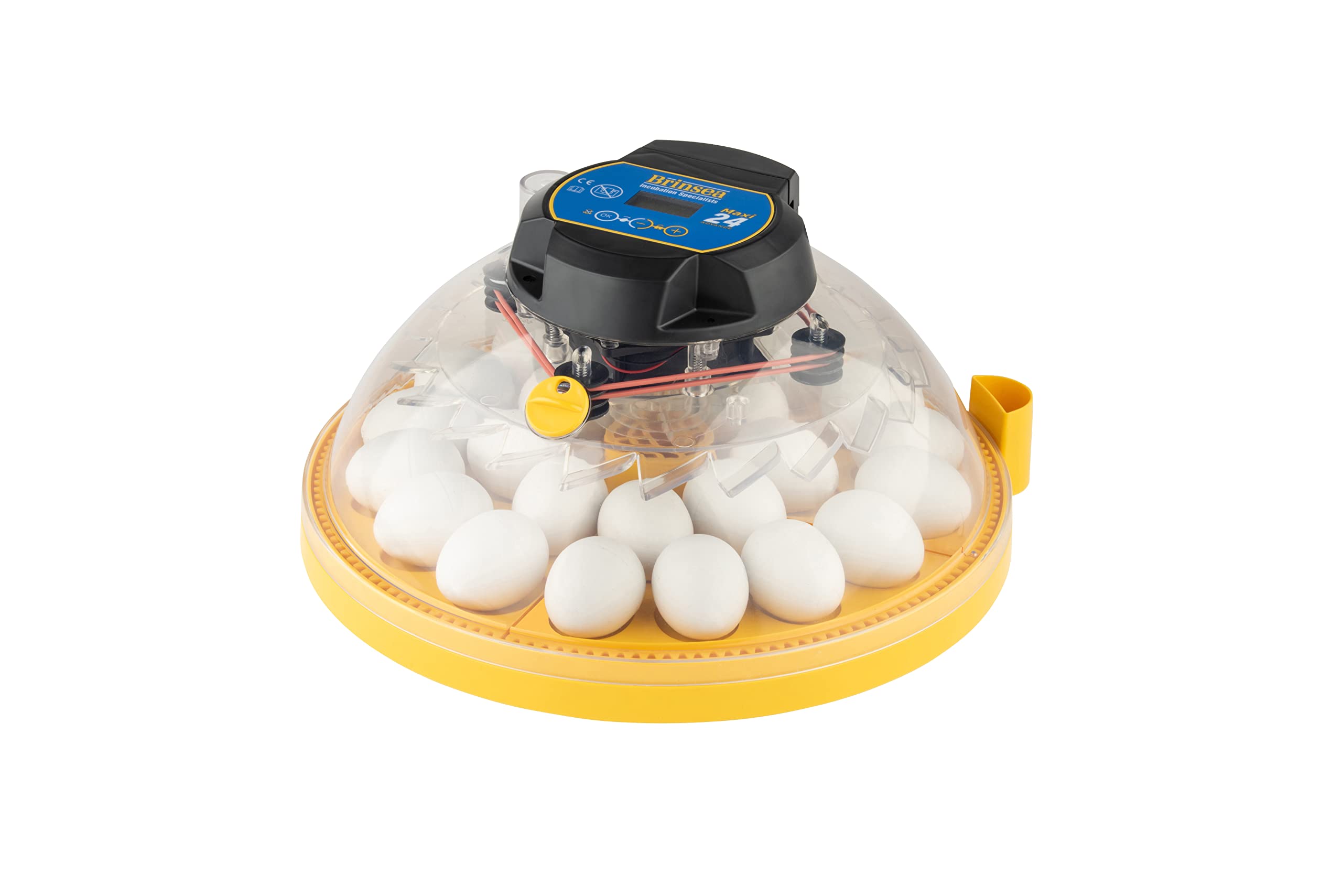 Brinsea Maxi 24 Advance Automatic Egg Incubator - Digital Temperature Control & Auto Egg Turner for 24 Chicken, Duck, Quail Eggs - Perfect for Poultry Farming, Hobbyists & Classroom Projects