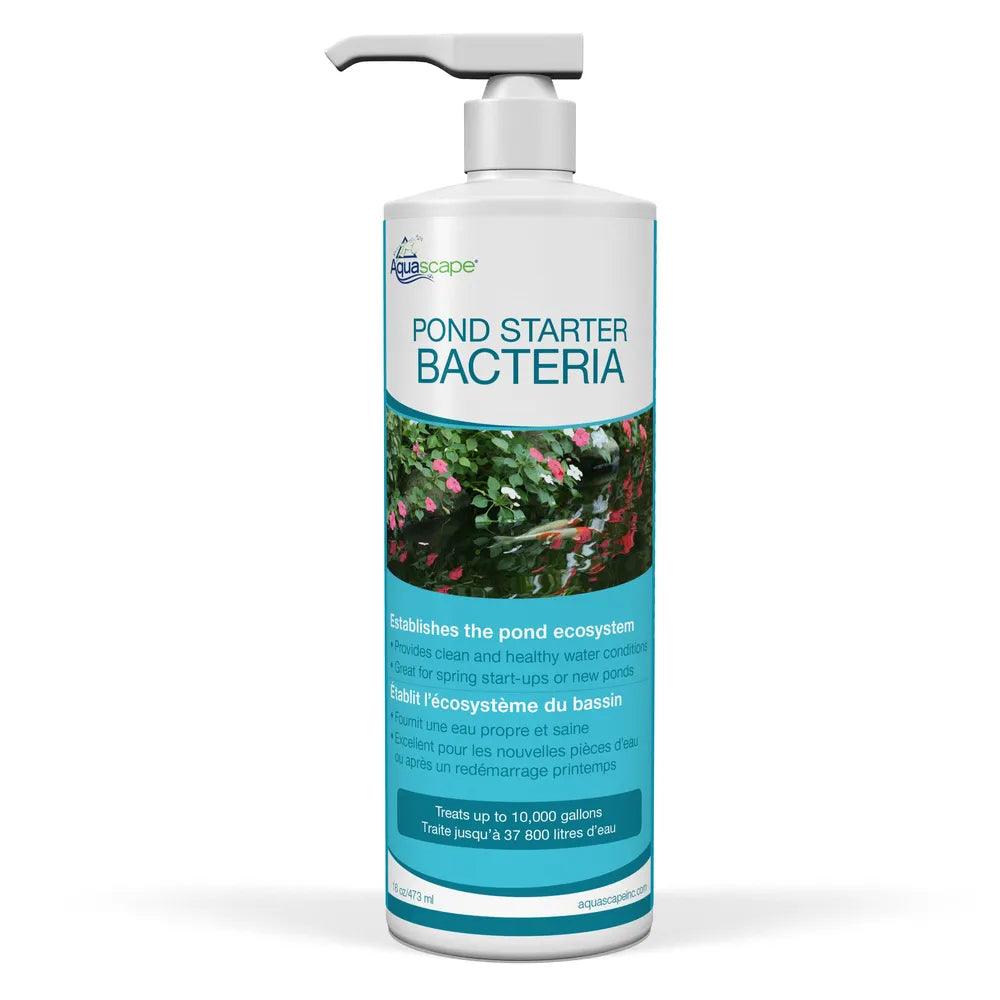 Premium Pond Starter Bacteria for Healthy Water - Beneficial Bacteria for Ponds, Lakes & Water Gardens - Promotes Clear Water & Fish Health - Ideal for New Ponds & Seasonal Maintenance