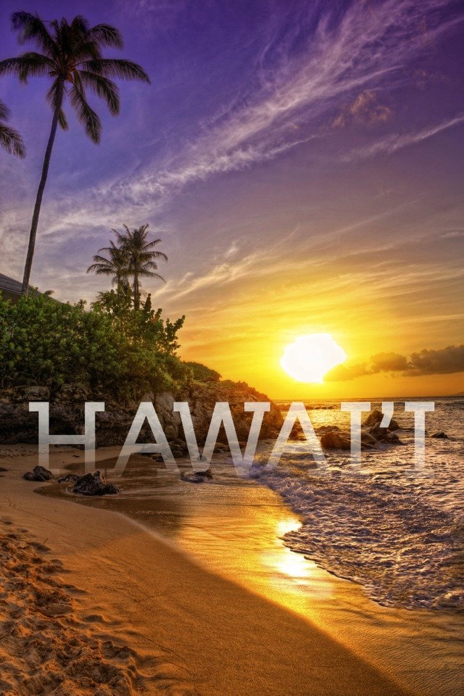 12x18 Hawaii Sunset and Palm Tree Metal Wall Art - Premium Aluminum Decor for Living Room, Bedroom & Office - Durable Gallery Quality Print for Home & Office Decor