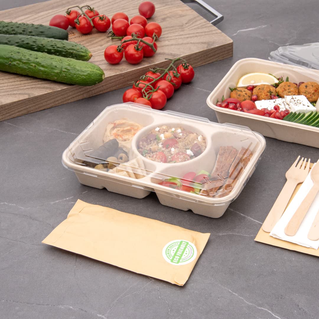 Restaurantware 100-Pack Disposable PET Plastic Lids for To-Go Containers - 9.5 x 6.4 Inch Clear Pulp Tek Lids (Containers Sold Separately) - Perfect for Food Service, Takeout Meals & Catering Events