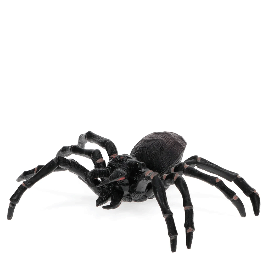 Realistic Tarantula Toy - Lifelike Fake Spider Prank for Halloween & Scare Pranks - Perfect for Party Decor, Gag Gifts, and Halloween Costume Accessories
