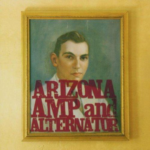 Arizona Amp and Alternator - High Performance Car Audio & Electrical System for Off-Road, Sand & Traffic Use