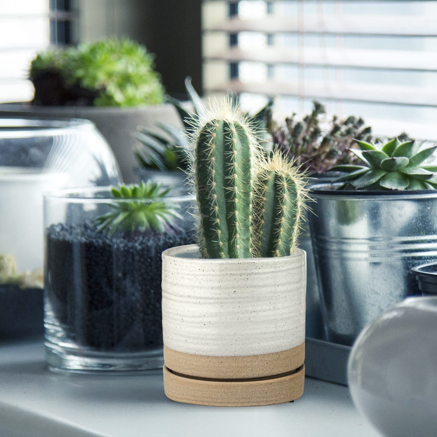 6 Inch Ceramic Plant Pots with Drainage Hole & Saucer - Indoor/Outdoor Cylinder Round Planter for Succulents, Herbs, Flowers - White & Beige Glazed Garden Decor