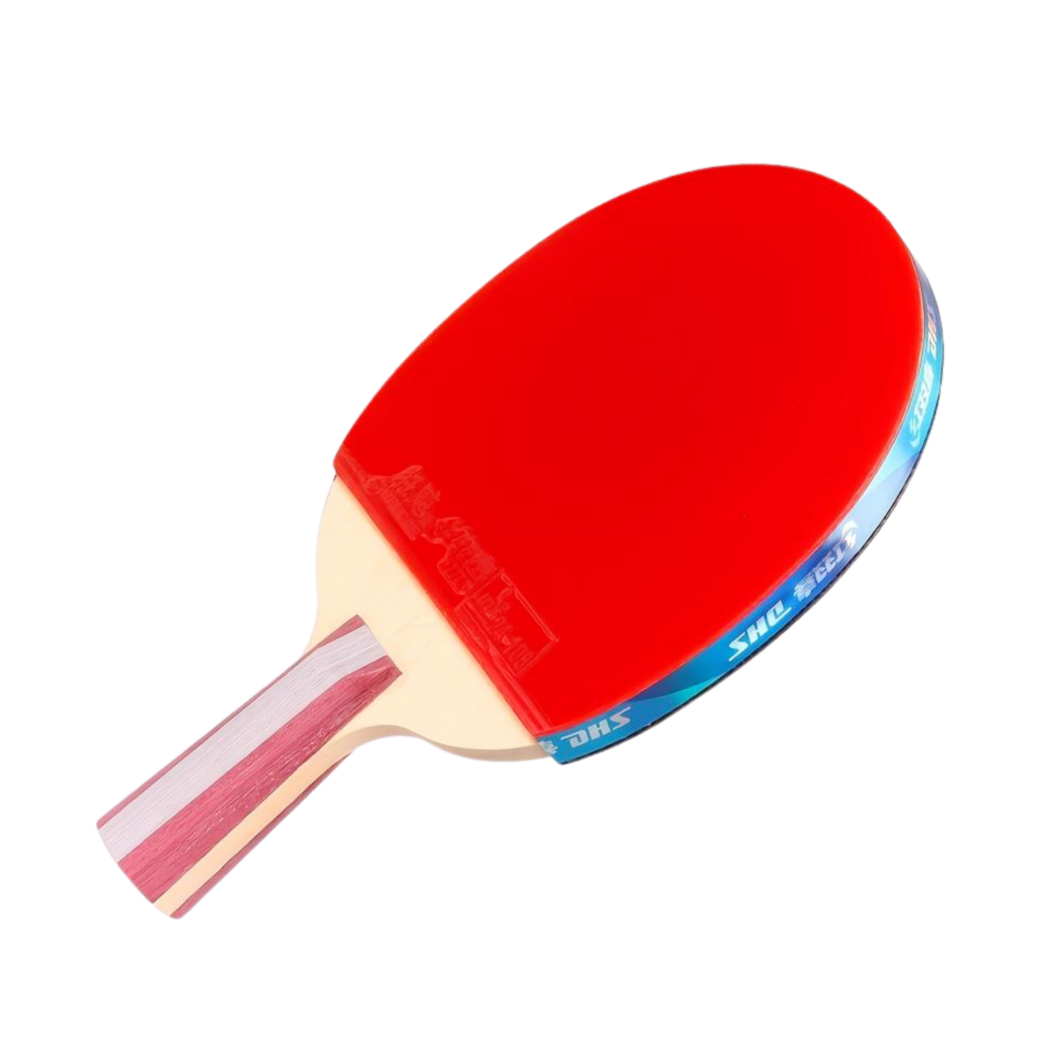 DHS H5006 Professional Penhold Table Tennis Racket Set with Case - Perfect for Training, Competition & Indoor Sports