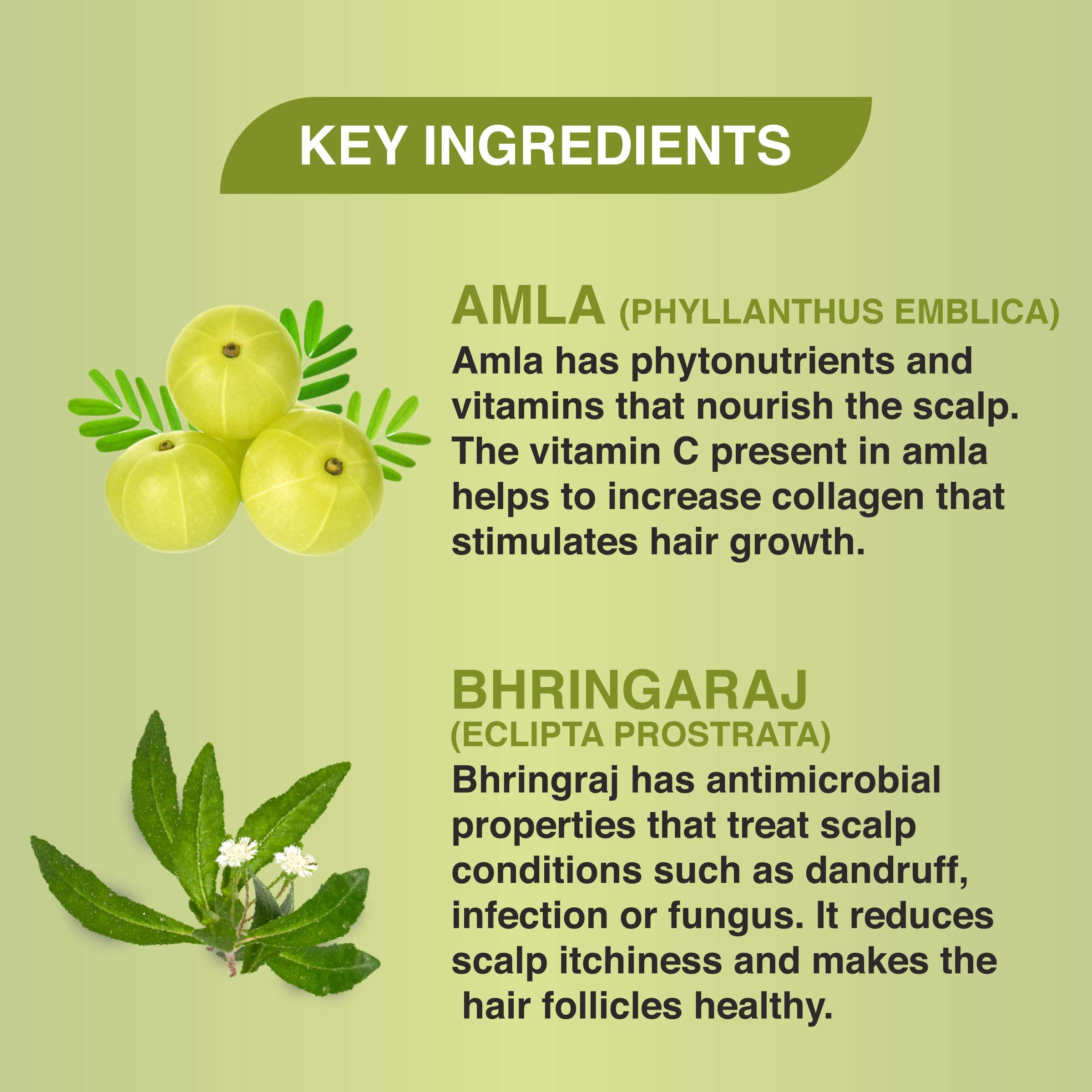 Organic Amla & Bhringraj Hair Conditioner for Dry, Damaged Hair - Ayurvedic Deep Conditioning Treatment for Shine & Growth - Perfect for Daily Use & Salon Results at Home