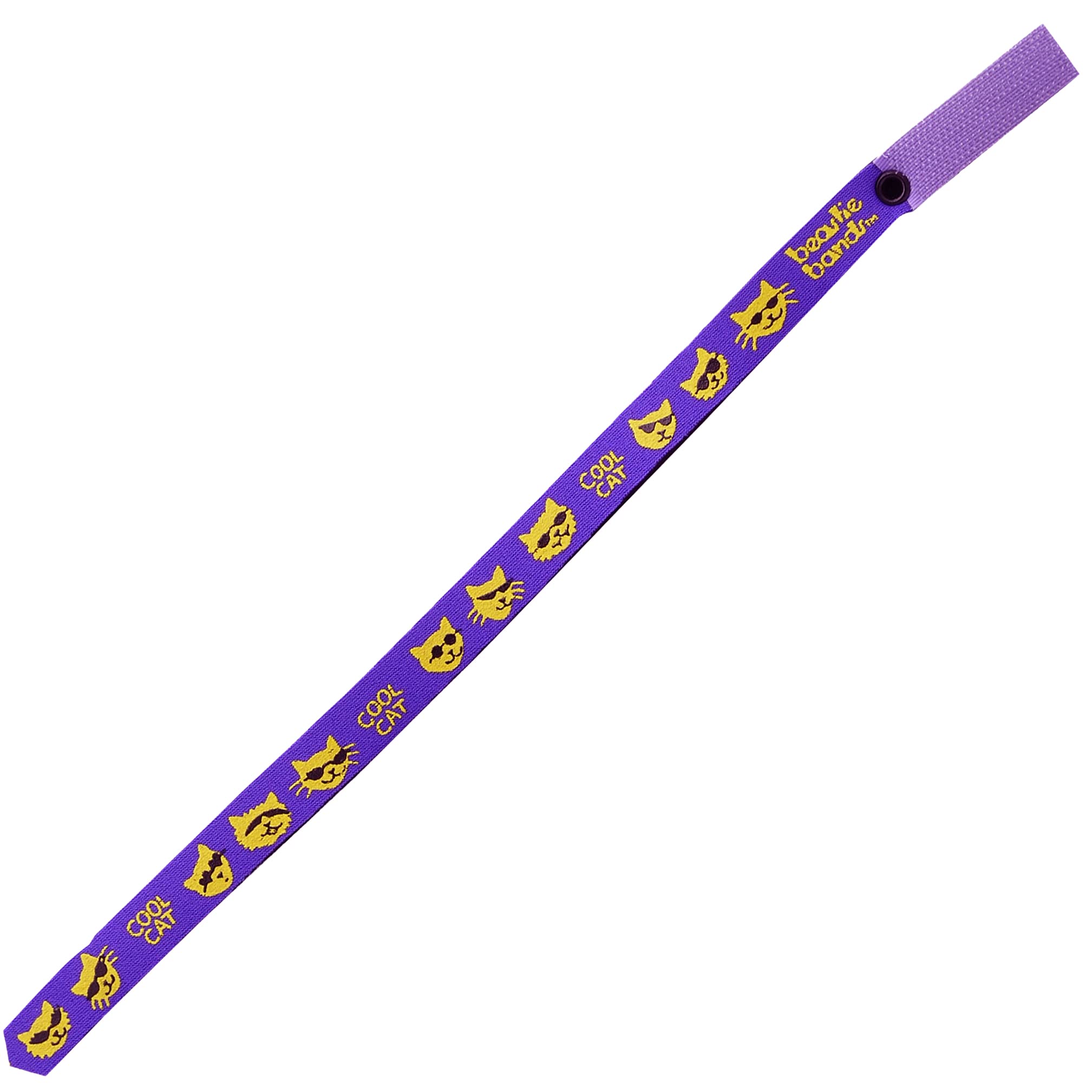 Cool Purple Cat Collar for Playful Kittens - Outdoor & Indoor Use