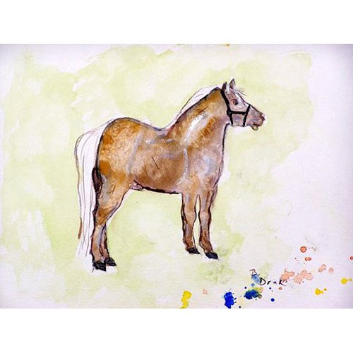 A Warm Welcome with Betsy Drake's Shetland Pony Doormat