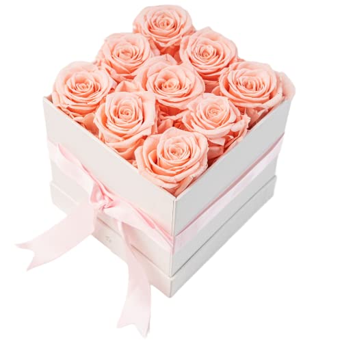 Blush Pink
