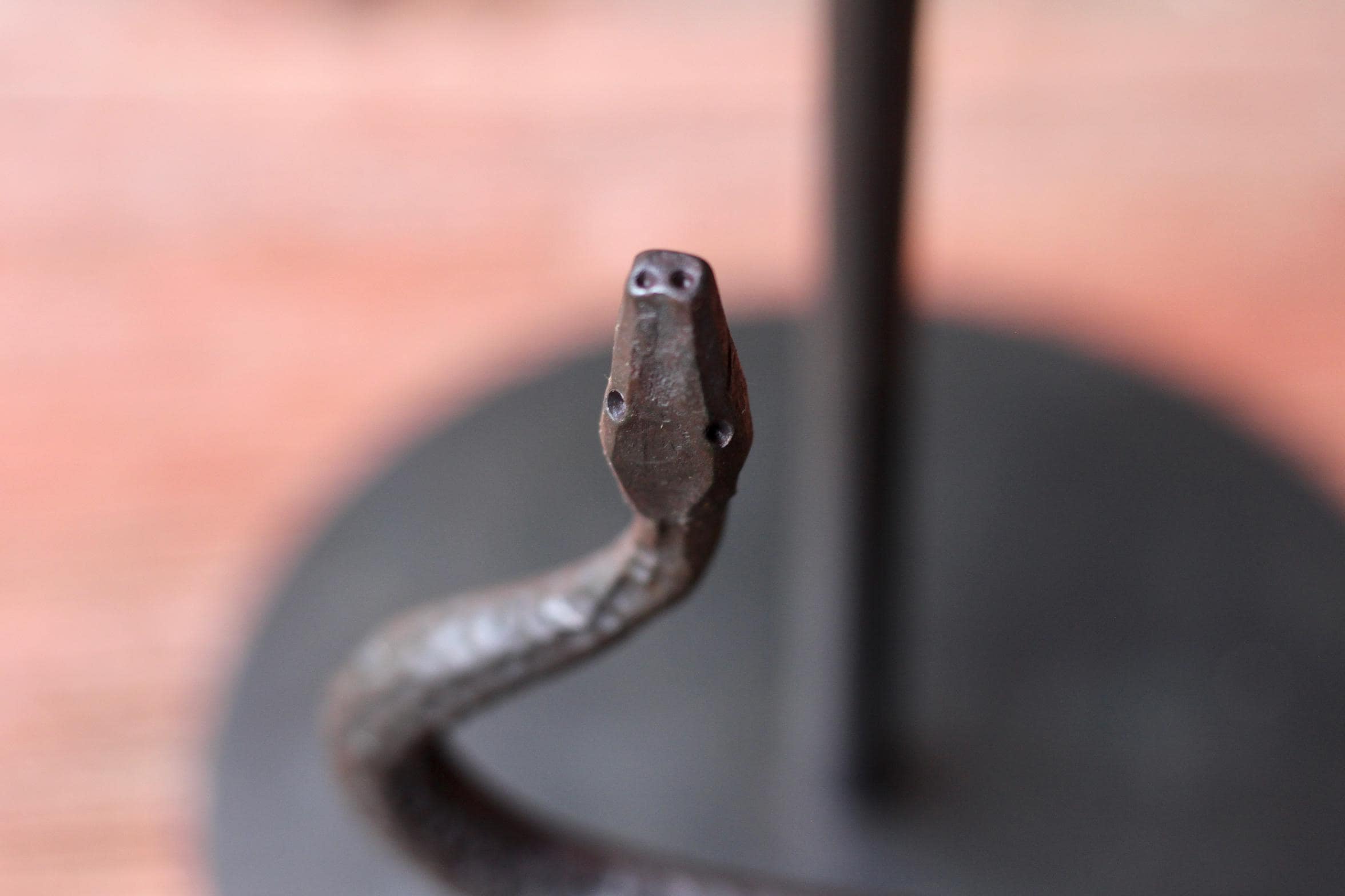 Rattlesnake-Themed Paper Towel Holder - Unique Kitchen Decor for Western & Ranch Style Homes - Perfect for Cowboy, Farmhouse, or Rustic Themed Kitchens