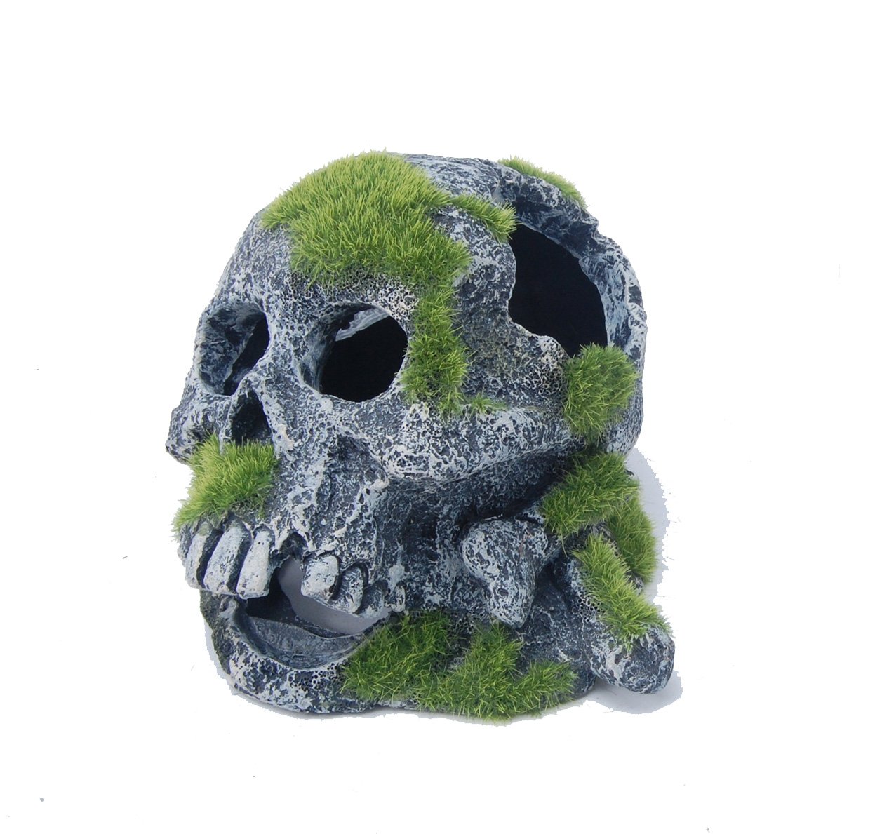 Aquatopia Skull with Moss - Gothic Home Decor, Terrarium Centerpiece & Unique Halloween Decoration for Indoor and Outdoor Use