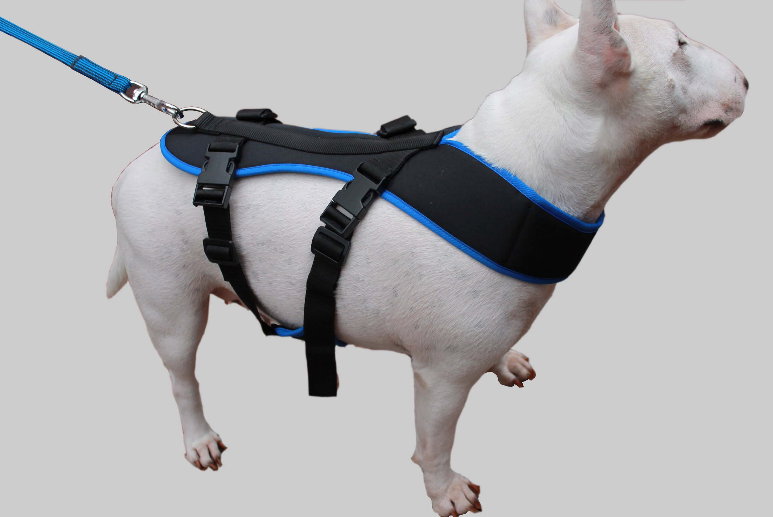 Premium Bikejoring Dog Harness - Adjustable Reflective Black Harness for Active Dogs | Perfect for Canicross, Biking & Outdoor Adventures with Your Pet