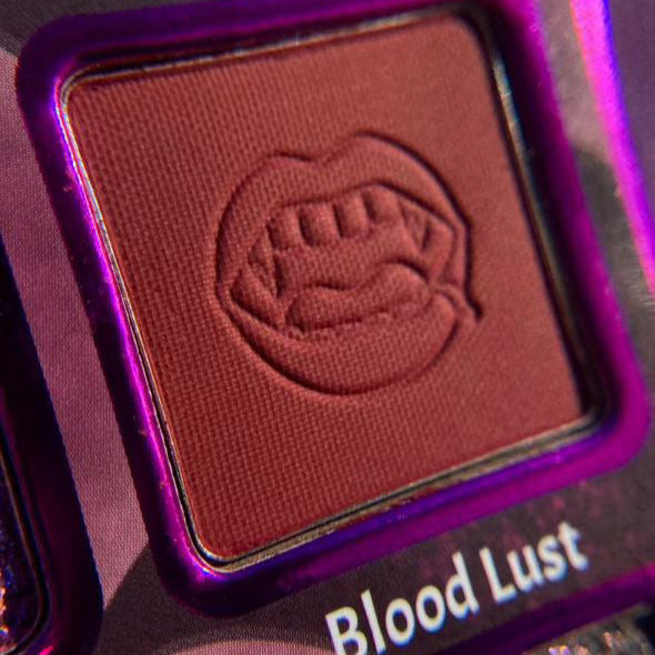 Bitten Eyeshadow Palette - 12 Highly Pigmented Matte & Shimmer Shades for Day & Night Makeup Looks | Perfect for Parties, Weddings & Everyday Wear