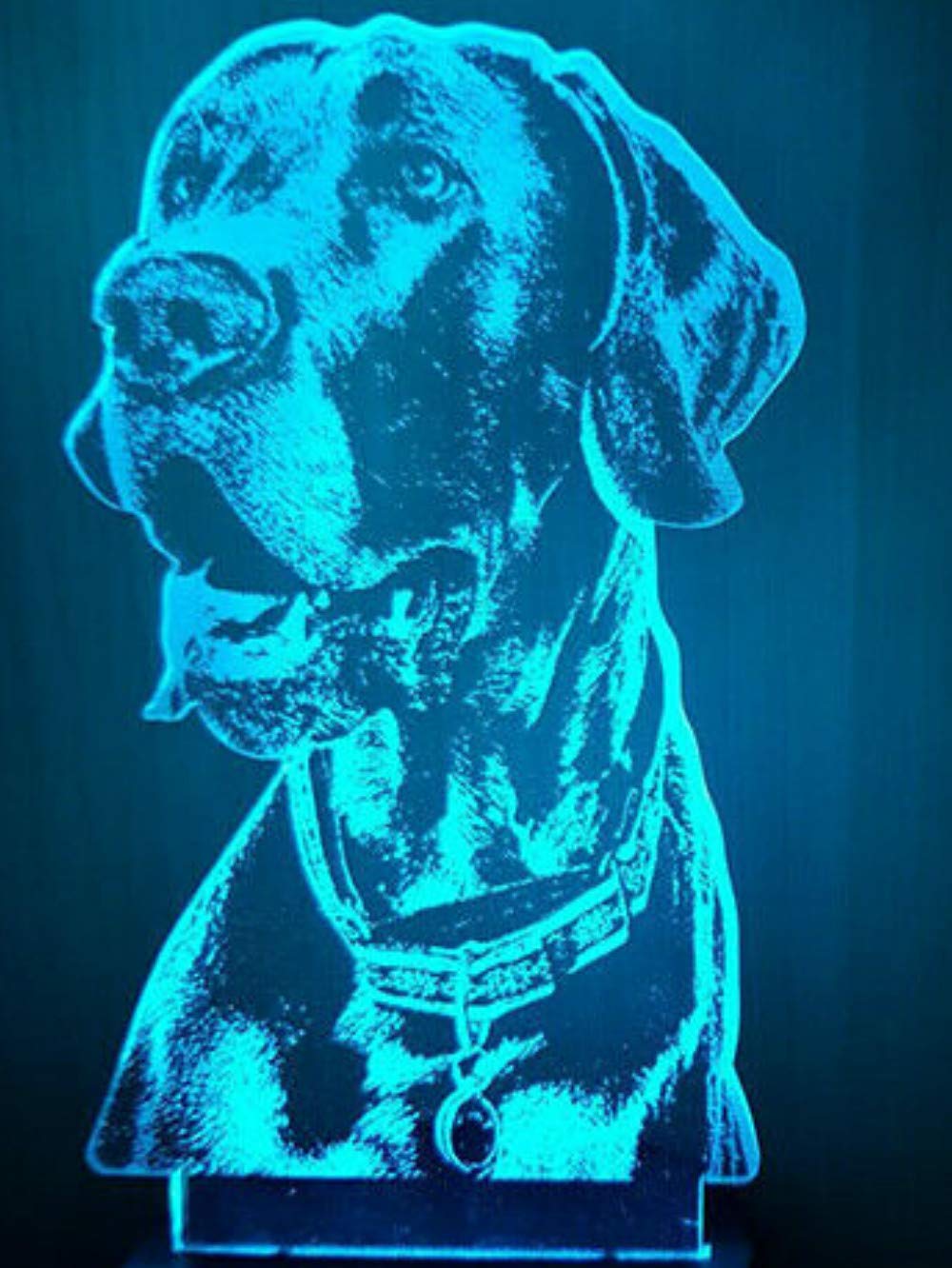3D Hunting Dog Night Light LED Touch Switch Table Lamp - 7 Color Changing Optical Illusion Desk Decor for Kids Room, Bedroom, Nursery | Perfect Gift for Christmas, Birthday, Children's Day (Home Decor, Toy Gift)