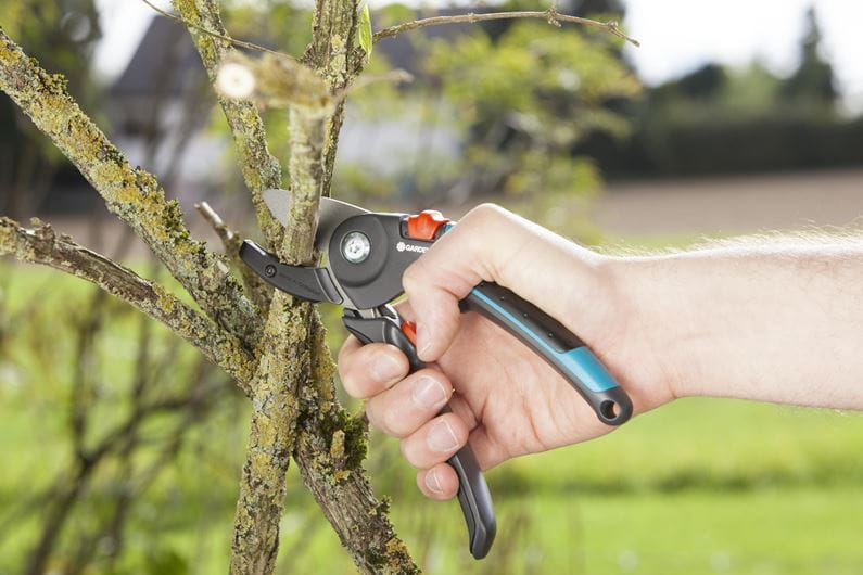 Gardena Garden Pruning Shears A/M 8903 20 - Professional Bypass Secateurs for Precise Trimming of Plants, Flowers, and Small Branches - Ideal for Gardening, Landscaping, and Horticulture