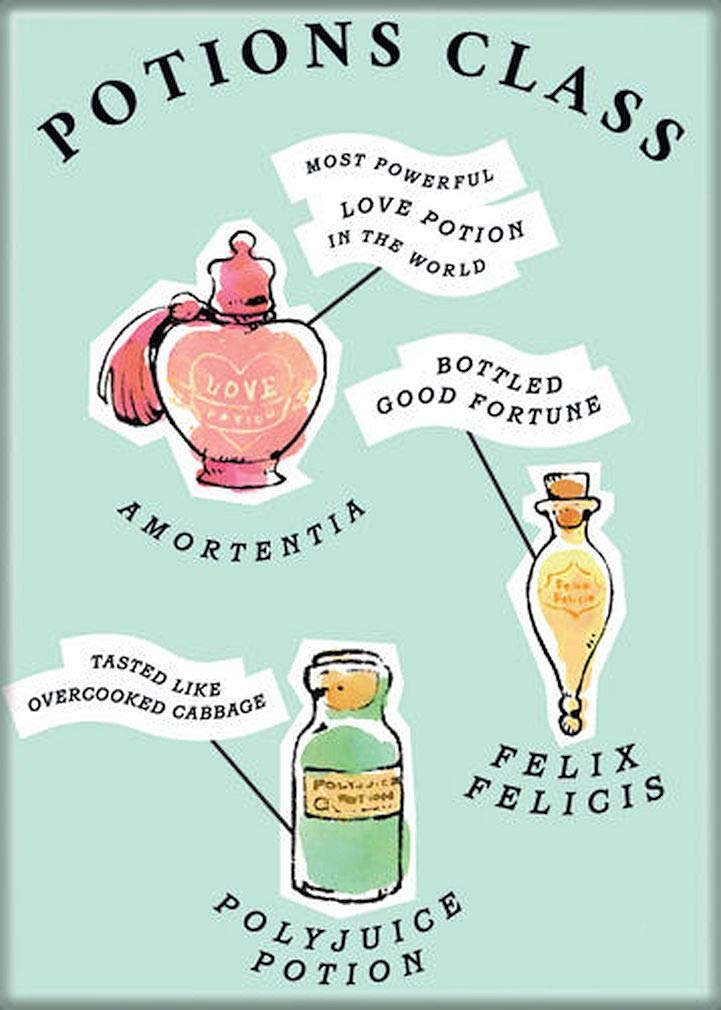 Harry Potter Potions Class Magnet 2.5x3.5