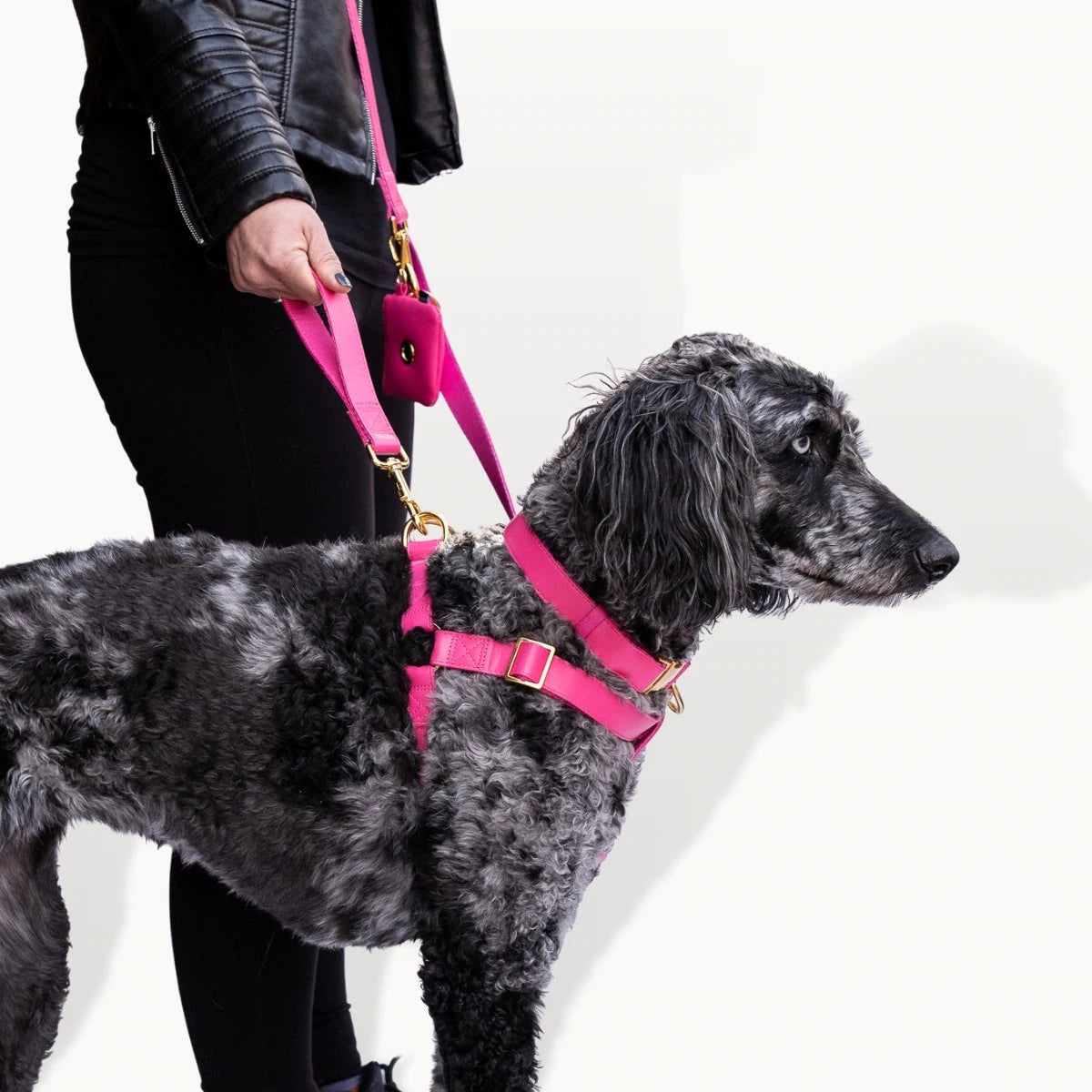 Ripley & Rue Vegan Leather Dog Harness - Adjustable, Durable & Stylish Pet Harness for Small to Large Dogs (Multiple Colors) - Perfect for Walking, Training & Outdoor Adventures