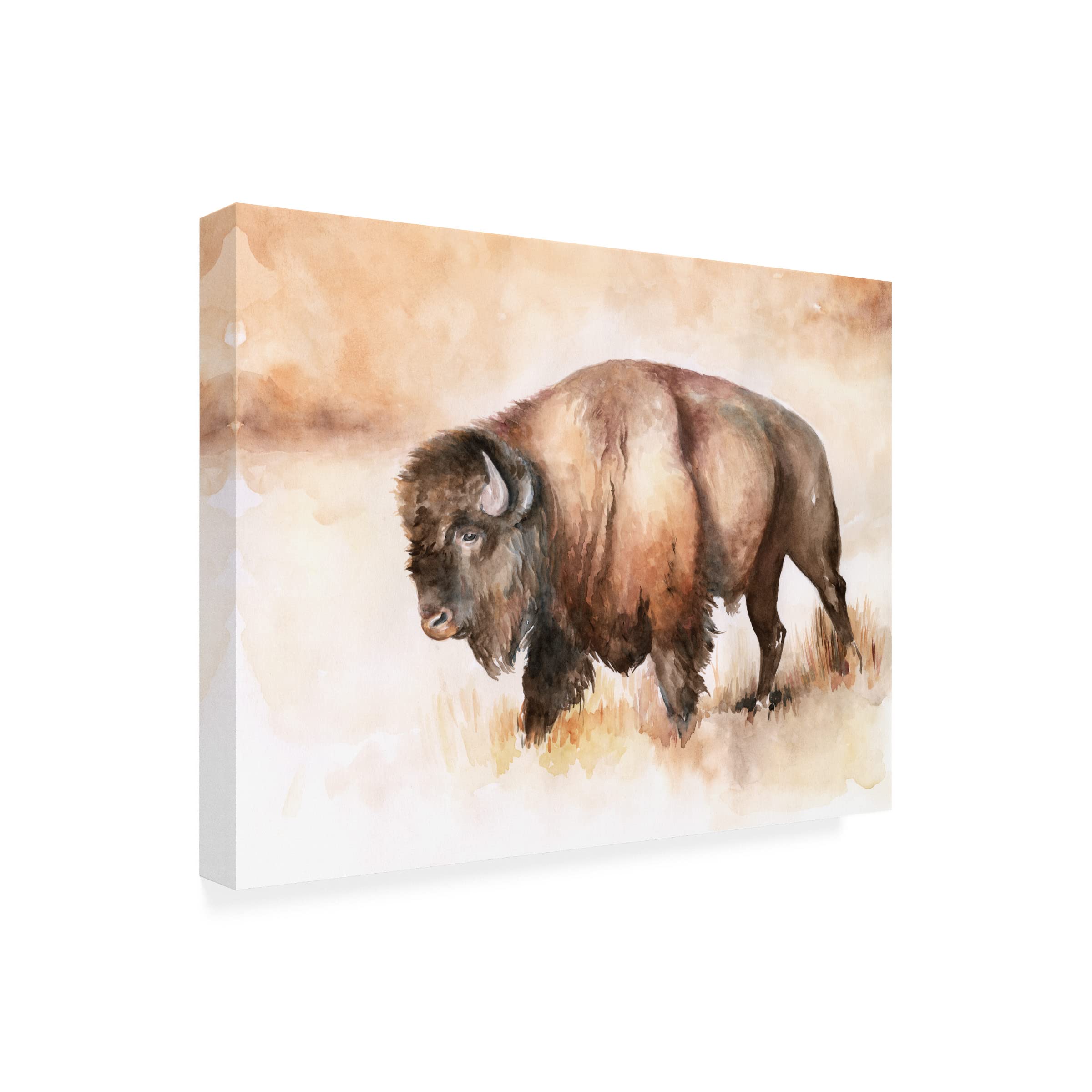Buffalo Roam I Canvas Art Print by Jennifer Paxton Parker - Western Wildlife Wall Decor for Living Room, Office & Cabin