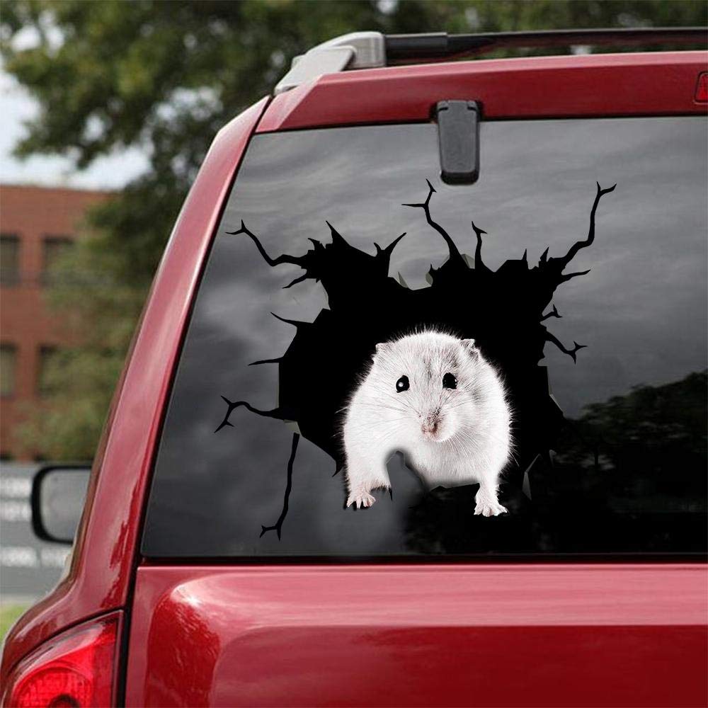Realistic Hamster Car & Wall Decals Stickers - 2 Pack (10x10 Inch) - Cute Pet Decor for Car Windows, Bedroom Walls & Nursery - Waterproof Vinyl Decals for Kids Room, Office & Gifts
