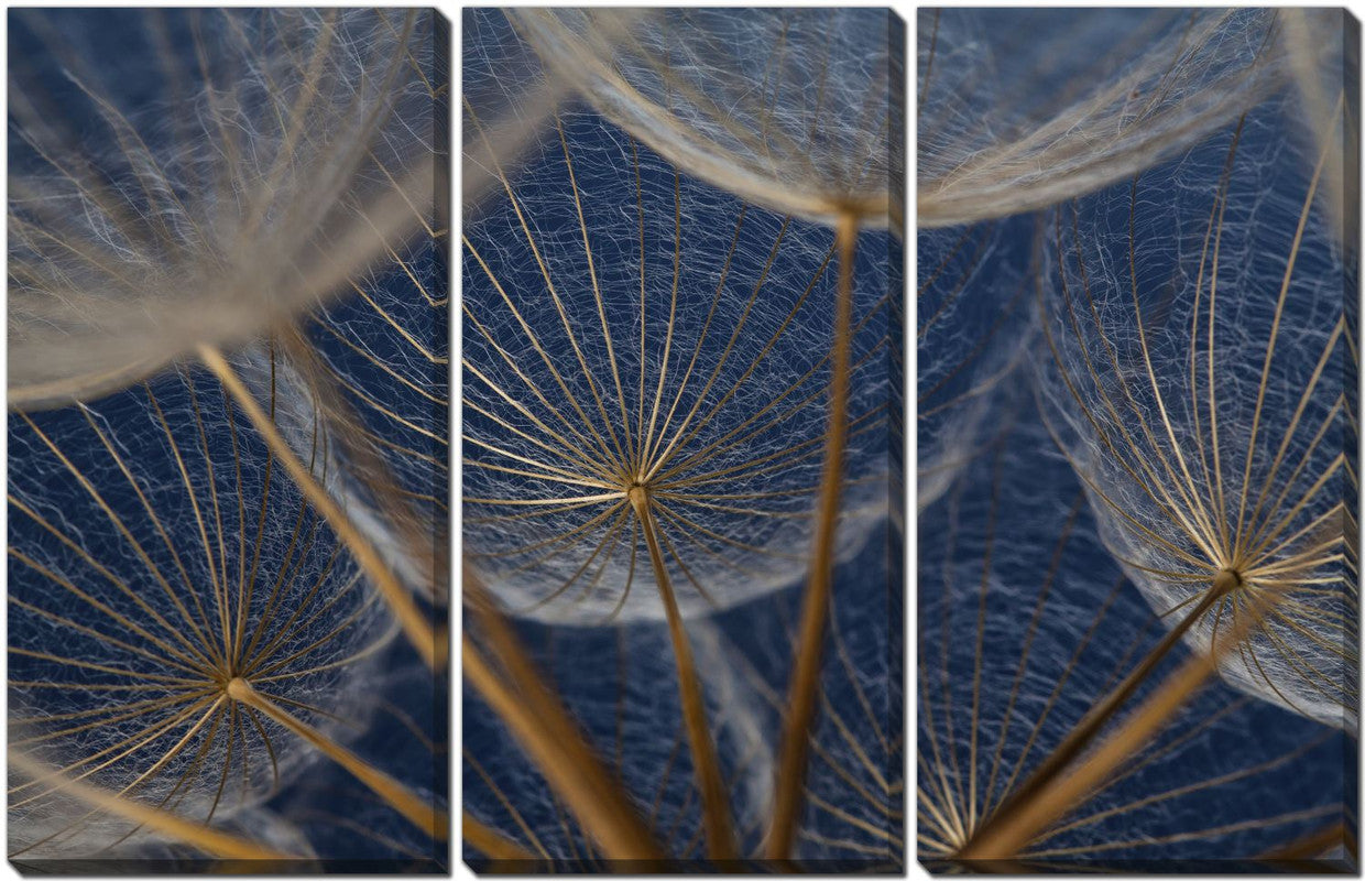 Blue Dandelions Wall Art - Set of 3 Canvas Prints (45x30 Inches) - Modern Home Decor for Living Room, Bedroom & Office