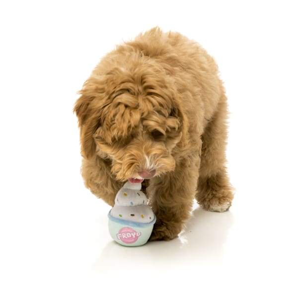 Fuzzyard Frozen Yogurt Plush Dog Toy - Soft & Durable Chew Toy for Small & Medium Dogs | Perfect for Cuddling, Training & Playtime at Home or Outdoors