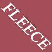 Pink - Fleece