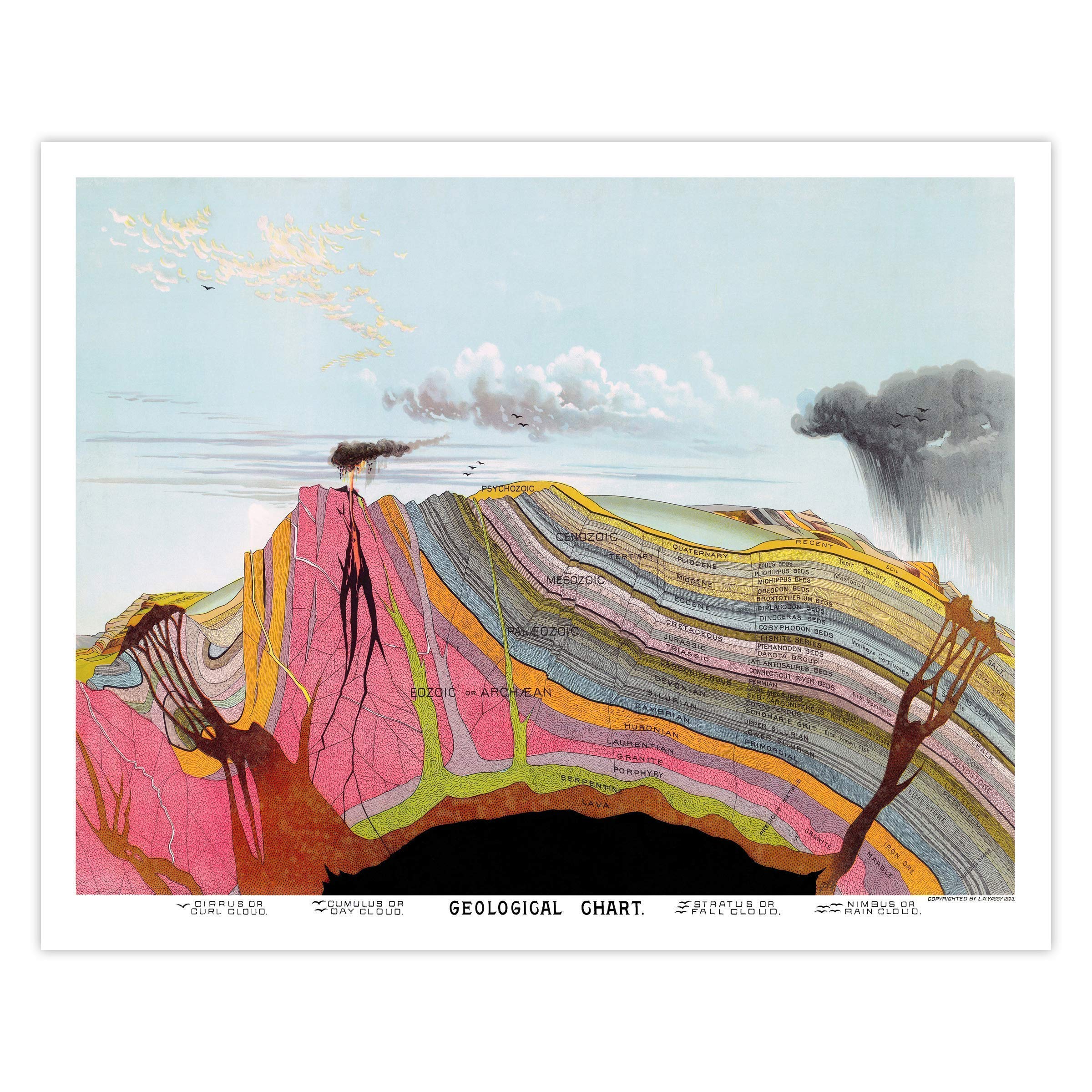 Vintage Geological Chart Landscape - Scientific Illustration Wall Art Poster for Home & Office Decor | Educational Classroom Decor | Unframed Nature Study Print
