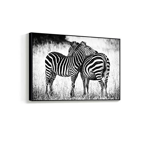 Blackanimal-h01