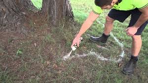 Aervoe Green Marking Chalk - Dustless Non-Toxic Chalk for Construction, Surveying & Outdoor Sports | Perfect for Sidewalk Games, Road Marking & Field Layouts