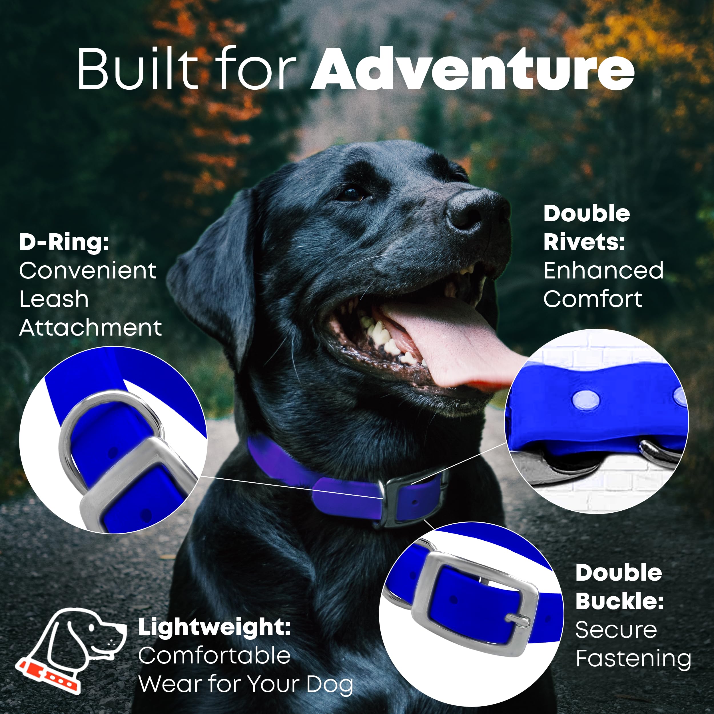 Regal Dog Products Small Blue Dog Collar - Heavy Duty Double Buckle & D Ring | Adjustable Biothane Collar with Vinyl Coating | Chew Proof & Waterproof Pet Collar for Small Dogs | Perfect for Walking, Training & Outdoor Adventures