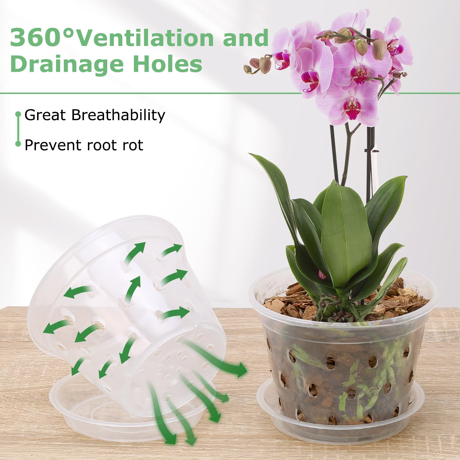 **8 Pack 3 Inch Clear Plastic Orchid Pots with Holes & Saucers - Slotted Planters for Indoor/Outdoor Orchids, Phalaenopsis & Air Plants - Perfect for Home, Office & Garden Decor**