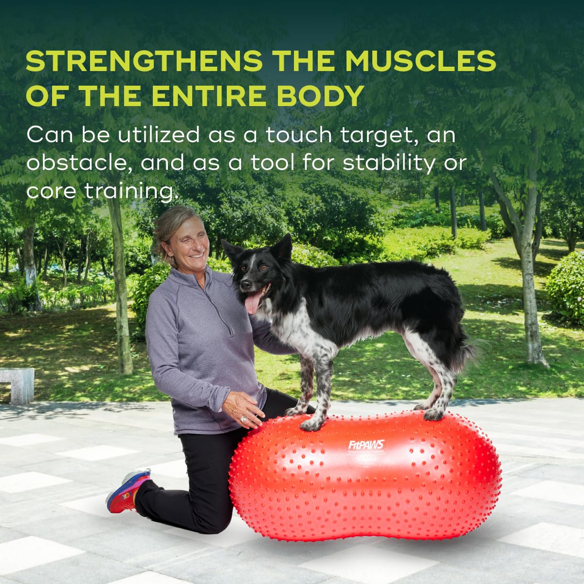 FitPAWS TRAX Balance Peanut 20