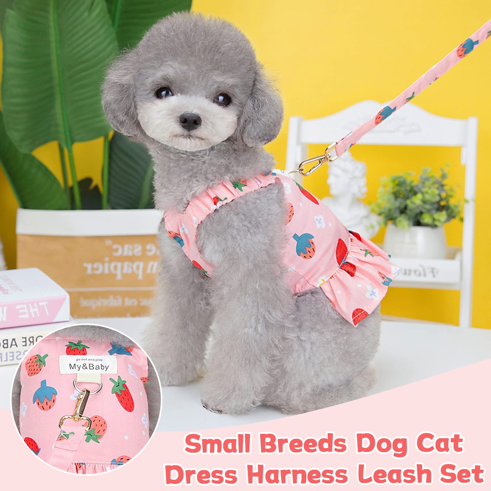 Small Dog Dress Harness and Leash Set - Cute Princess Birthday Outfit with Soft Fruit Print for Puppies - Perfect for Chihuahua, Yorkie & Shih Tzu (Pink Strawberry, Medium) | Great for Birthday Parties, Photo Shoots & Daily Walks