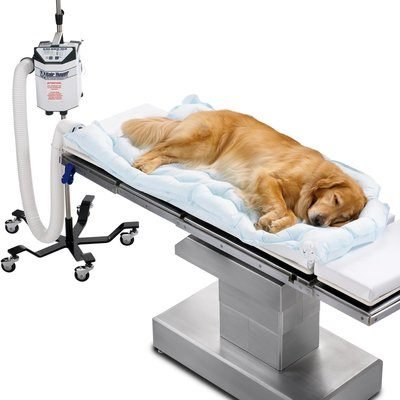 3M 55077 Bair Hugger Animal Health Underbody Warming Blanket - Long Size (Pack of 10) | Veterinary Surgical Warming Blanket for Dogs & Cats | Ideal for Surgery Recovery & Hypothermia Prevention