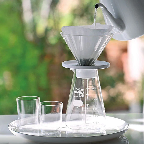 Hario CHA CHA Bouquet Server Set - Japanese Glass Tea Set with Stainless Steel Filter - Perfect for Iced Tea, Cold Brew & Herbal Infusions - Elegant Tea Serving for Home, Cafe & Office