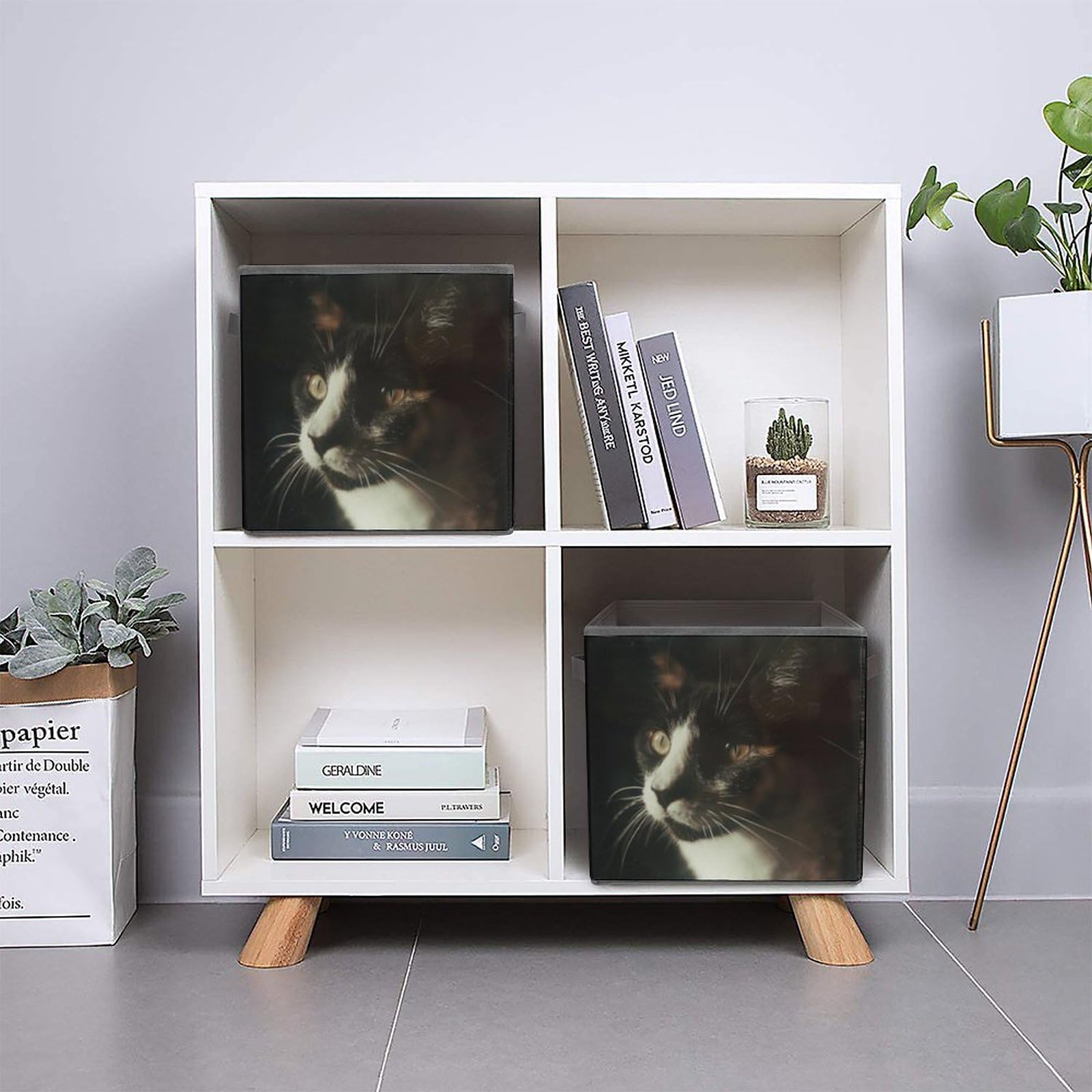 Foldable Storage Bins with Handles - 10.6x10.6 Inch Collapsible Cube Organizer Baskets for Home, Office & Closet - Cat with White Eyes Printed Design - Perfect for Toys, Books & Clothes Organization