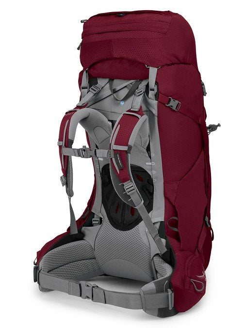 Ariel 65 oz Water Bottle with Straw - WM L Claret Red - Leak Proof & BPA Free - Ideal for Gym, Hiking & Travel