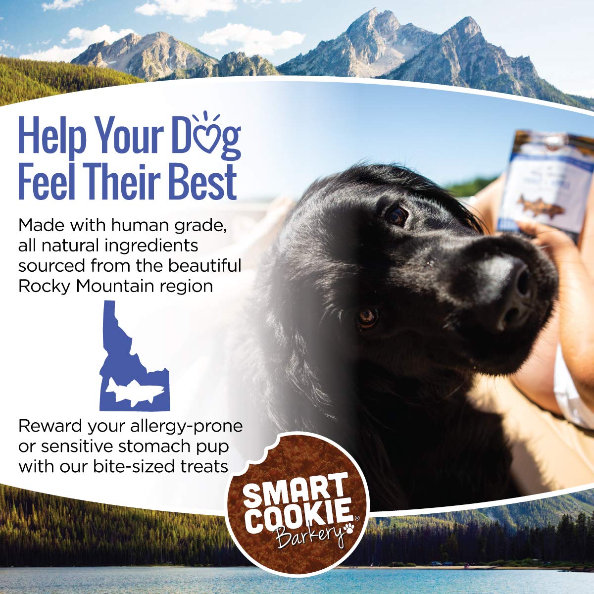 Smart Cookie All Natural Soft Dog Treats - Trout & Apple Flavor - Healthy Grain-Free Chewy Dog Snacks for Allergies & Sensitive Stomachs - Human-Grade USA Made - 5oz Bag - Perfect for Training Rewards & Digestive Health