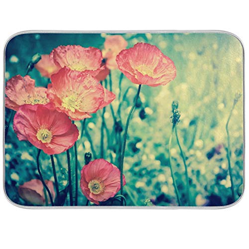 Spring Poppy