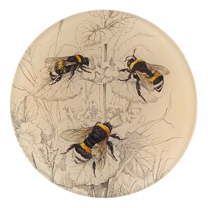Common Bumble Bees - Natural Pollinators for Garden & Outdoor Spaces | Attract Bees for Flower Pollination & Healthy Ecosystems