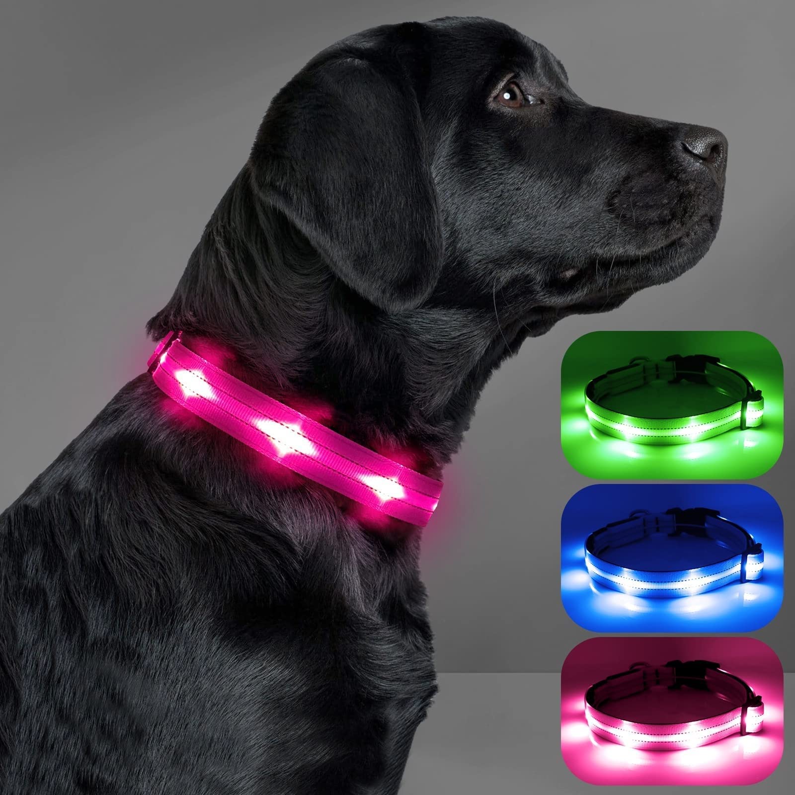 **Visinite Rechargeable Waterproof LED Dog Collar - Adjustable Glow Collar for Small, Medium & Large Dogs - Night Walking Safety Light for Pets (Ideal for Evening Walks, Jogging & Outdoor Adventures)**