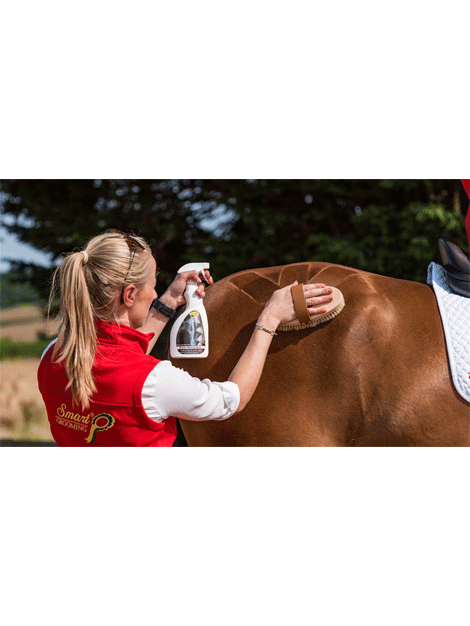 Smart Grooming Quarter Marking Spray for Horses - Quick & Easy Show Prep - Perfect for Competitions & Training