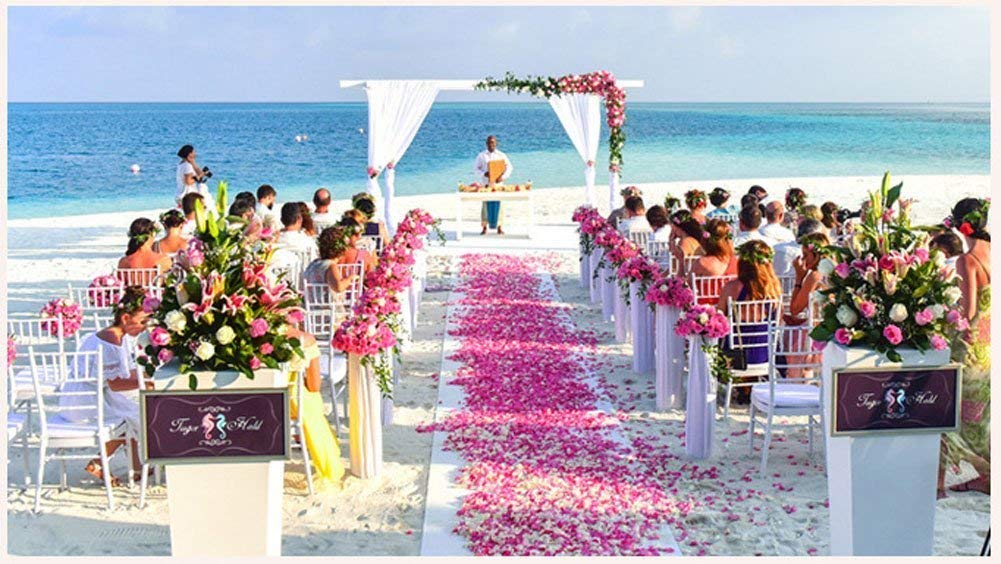 1200 PCS Silk Rose Petals - Realistic Pink Gradient Artificial Flowers for Wedding Decorations, Bridal Shower, Aisle Scatter & Romantic Party Decor