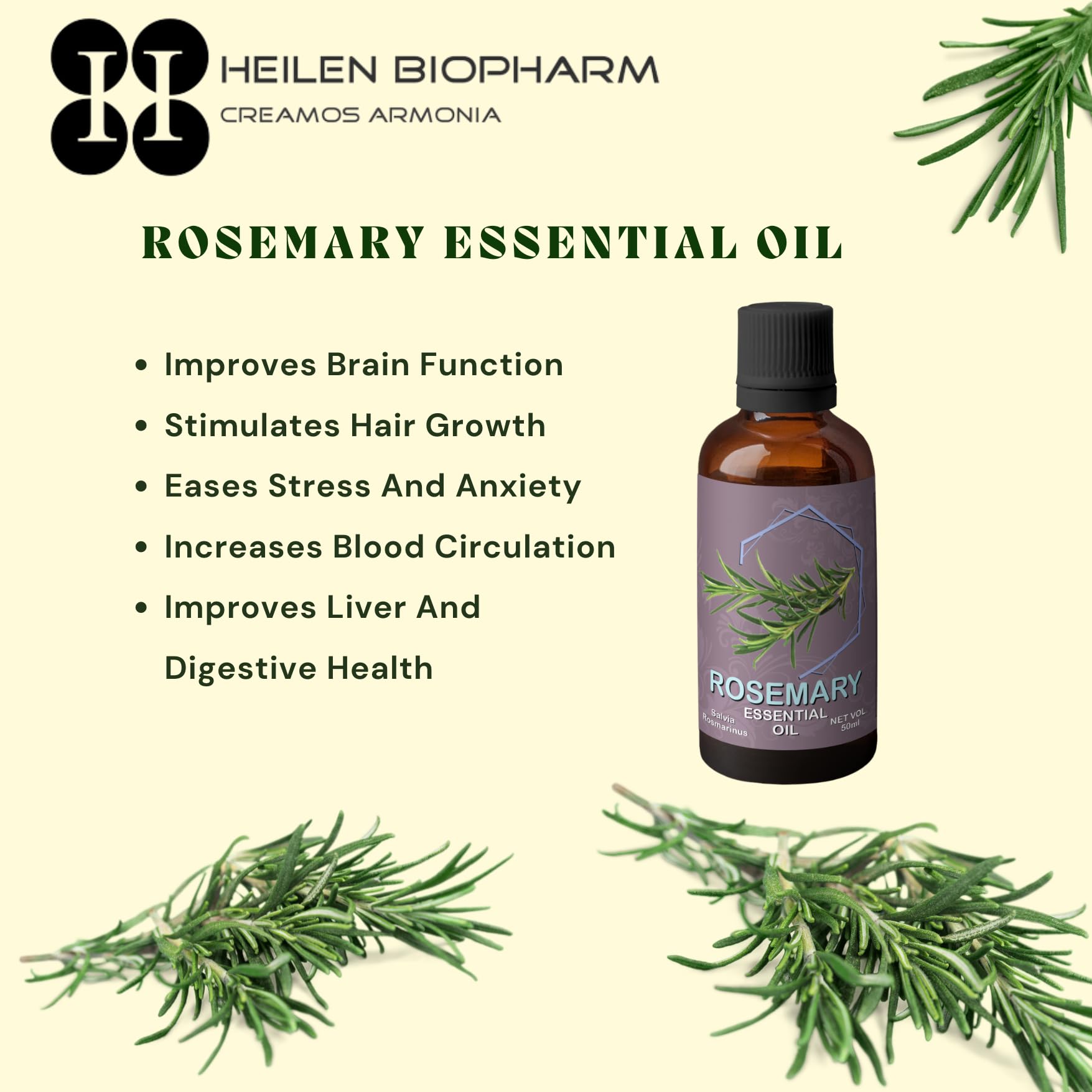 Organic Rosemary Essential Oil for Skin & Hair Care - 50mL Pure Therapeutic Grade Aromatherapy Oil | Natural Body Nourishment & Relaxation | Perfect for Massage, Diffuser & DIY Beauty Products