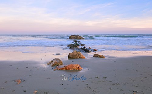 Fine Art Canvas - Paw Prints in the Sand - Scarborough Beach Narragansett RI - Coastal Wall Decor for Living Room, Beach House & Pet Lovers