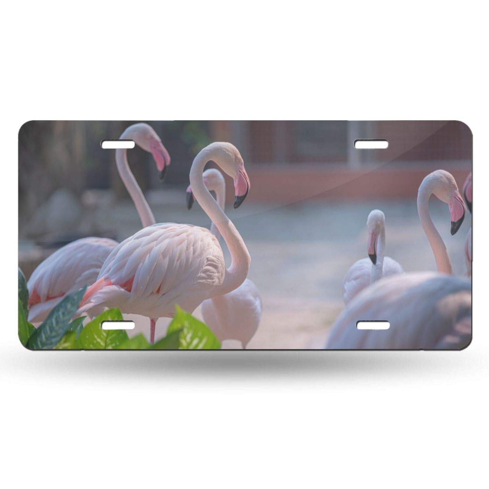 Pink Flamingo Decorative Aluminum Vanity License Plate - 6x12 Inch Novelty Car Front Tag for Men, Women, Girls & Boys | Fun Car Accessory for Beach Trips, Summer Vibes & Tropical Themed Vehicles