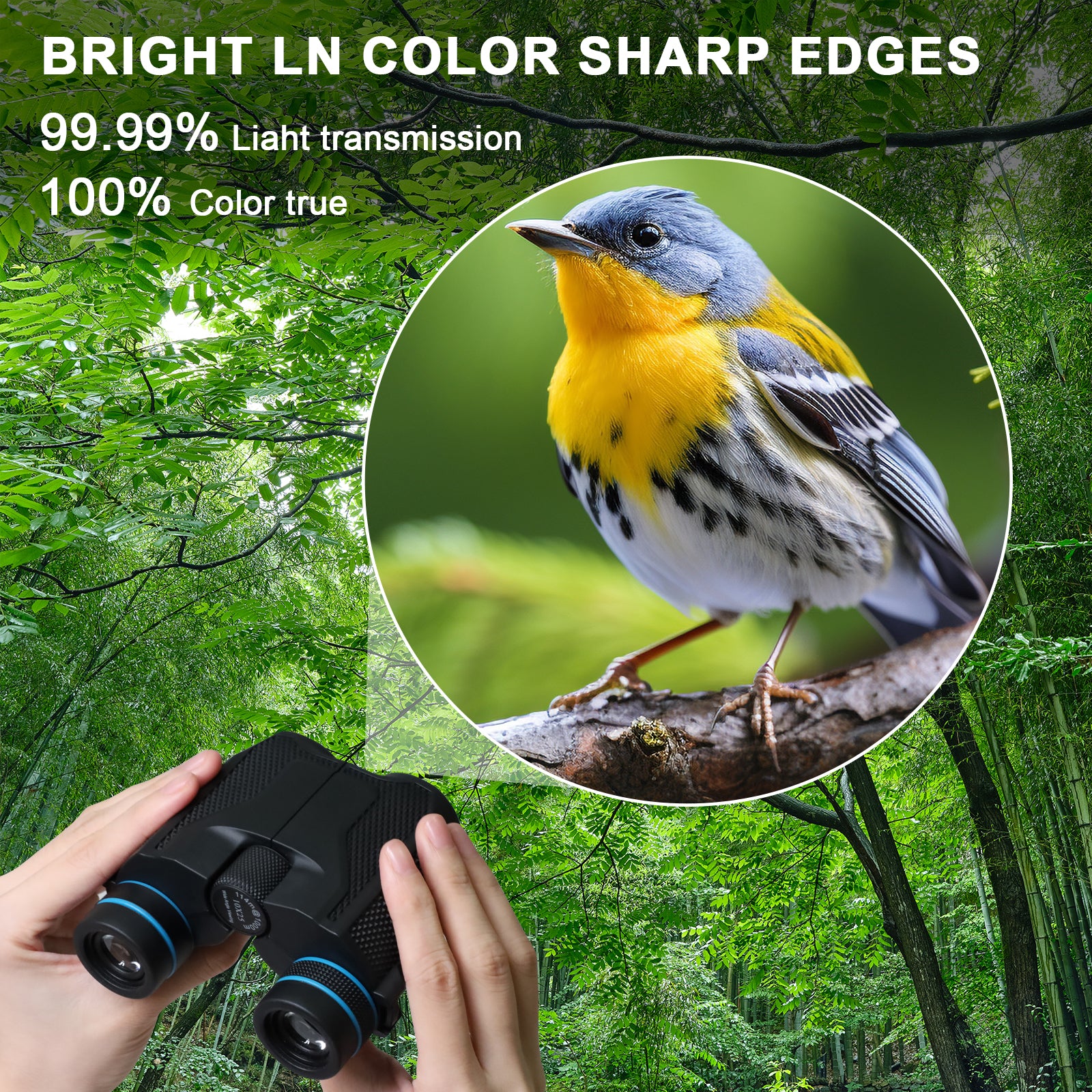 Wetene Compact Bird Watching Binoculars - Lightweight & Portable HD Optics for Birding, Hiking, Travel & Outdoor Adventures - Perfect for Backyard Birding, Wildlife Observation & Nature Exploration