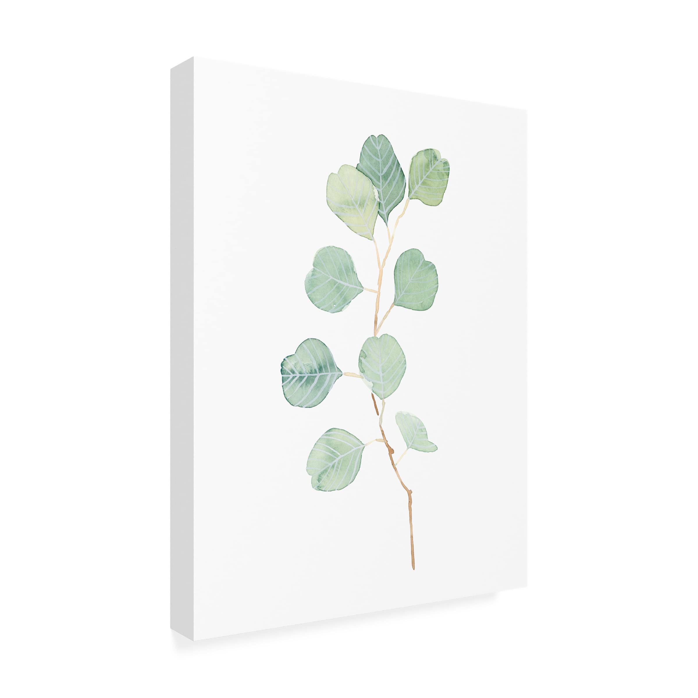 Emma Scarvey 'Soft Eucalyptus Branch IV' Canvas Wall Art Print - Modern Botanical Home Decor for Living Room, Bedroom & Office
