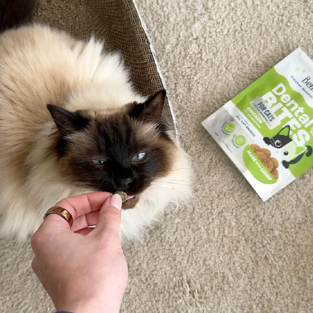 Bell & Bone Chicken with Blueberries Dental Bites for Cats - Natural Teeth Cleaning Treats for Fresh Breath & Oral Health - Perfect for Daily Dental Care & Training Rewards